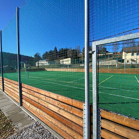 Penzion Tereza Horní Vltavice Exteriör bild