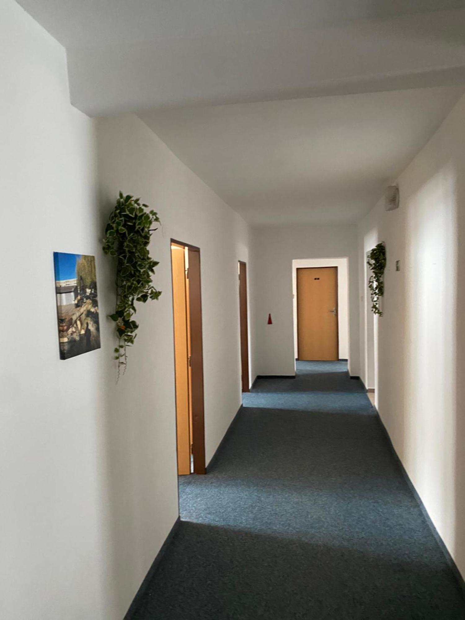 Penzion Tereza Horní Vltavice Exteriör bild